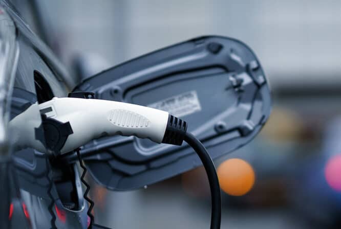 How Much Can You Really Save with Solar Panels?